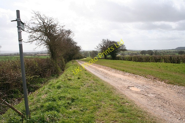 Photo 6"x4" Very Wide Bridleway Cold Elm c2008