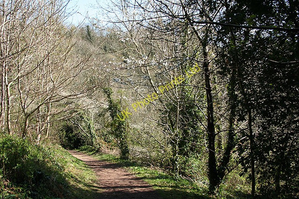 Photo 6"x4" Kingswear: near Warren House 1 Dartmouth c2008
