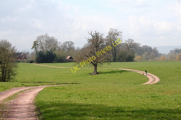 Photo 6"x4" Track to The Stanks Lodge Duckswich c2008