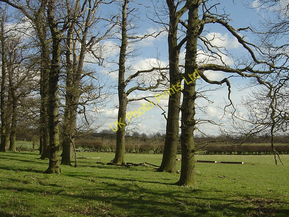 Photo 6"x4" Floodgate Plantation Hoton c2008