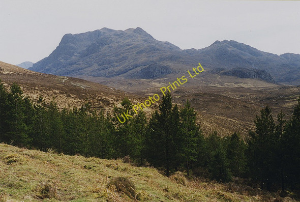 Photo 6"x4" The end of the forest Allt na Creige\/NG9078 c1999