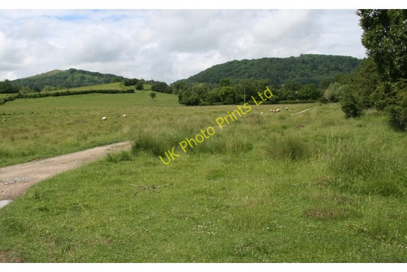 Photo 6"x4" Coombe Green Common Birts Street c2007