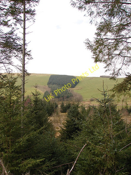 Photo 6"x4" A view across Cwm Tarennig Pont Rhydgaled c2008