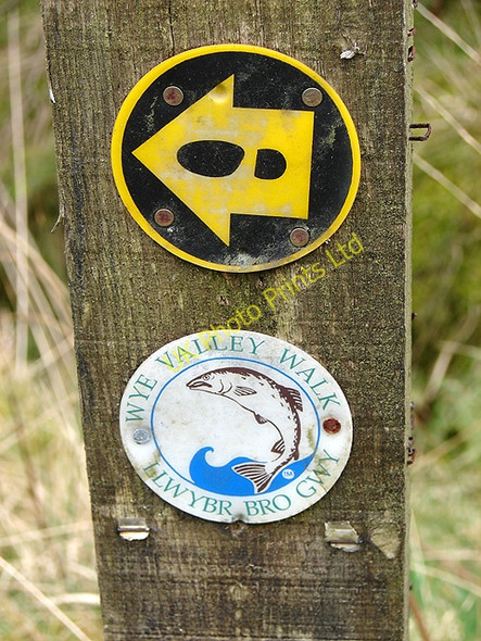 Photo 6"x4" Wye Valley Walk waymark Pant Mawr\/SN8482 c2008