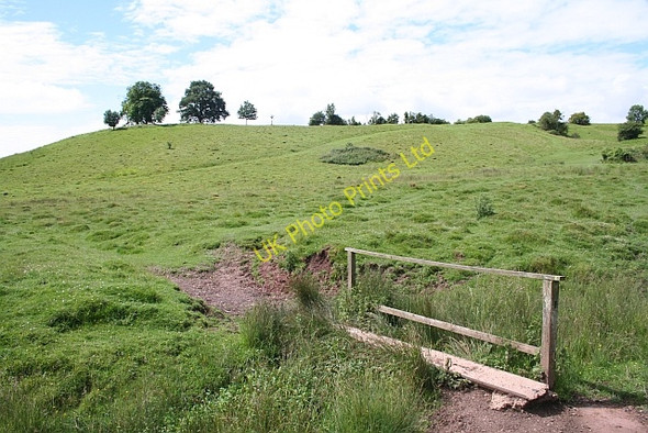 Photo 6"x4" Footbridge on Coombe Green Common Birts Street c2007