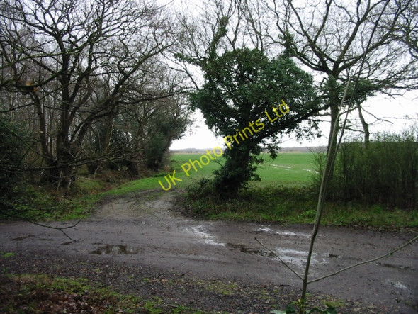 Photo 6"x4" Start of footpath from Hackington Road Tyler Hill c2008