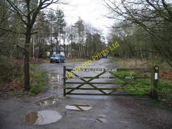 Photo 6"x4" View along New Road, a track through Thornden Wood Radfall c2008