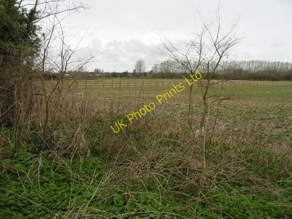 Photo 6"x4" View across the fields from Tyler Hill Road Blean c2008
