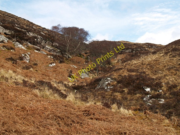 Photo 6"x4" Hillside, near Pollachoire Ardmair c2008