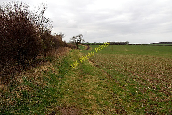 Photo 6"x4" Towards Swinhope Wold Newton\/TF2496 c2008