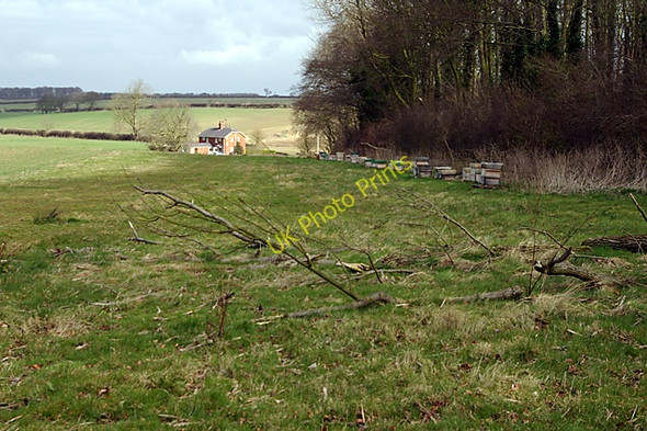 Photo 6"x4" Bee Hives Wold Newton\/TF2496 c2008