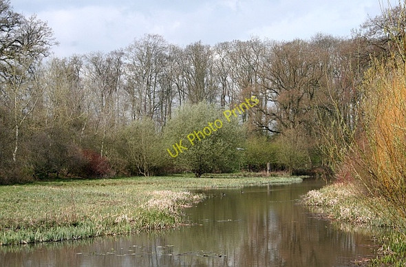 Photo 6"x4" Northern End of the Stanks Pond Duckswich c2008