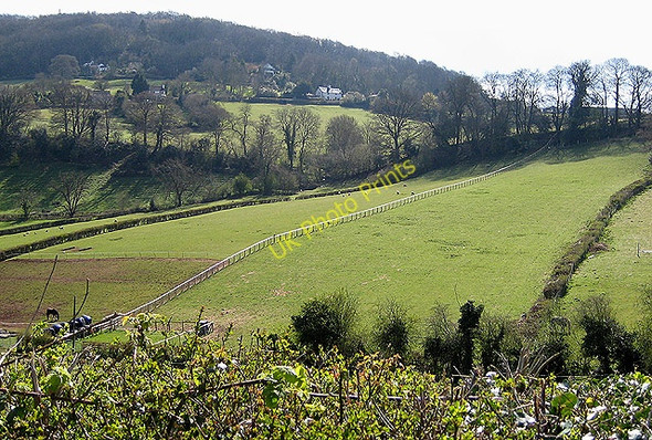 Photo 6"x4" Hillside with long fence Little Doward c2008