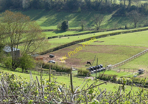 Photo 6"x4" Hillside paddock near Crocker's Ash Little Doward c2008