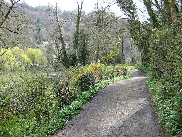 Photo 6"x4" Byway, Symonds Yat West Great Doward c2008