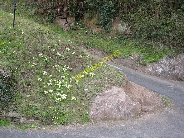 Photo 6"x4" Steep driveway at Symonds Yat West Great Doward c2008