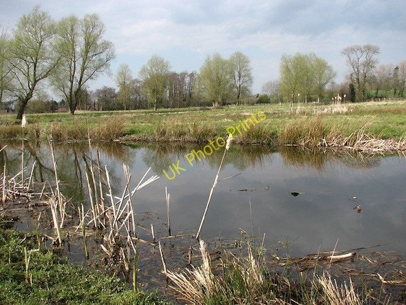 Photo 6"x4" Fishing ponds Coltishall c2008
