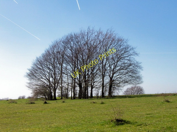 Photo 6"x4" Haresfield Hill Ruscombe\/SO8307 c2007