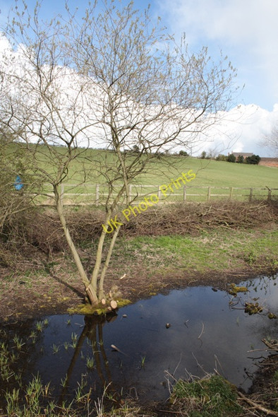 Photo 6"x4" The Nottingham Canal (disused) Stapleford\/SK5037 c2008
