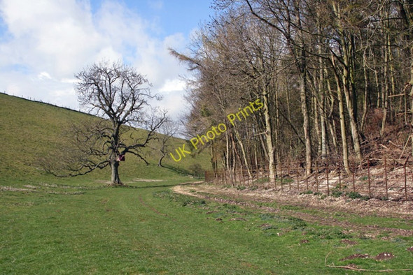 Photo 6"x4" Oxlands Dale, near Huggate Huggate c2008