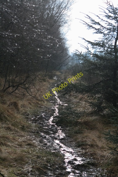 Photo 6"x4" Footpath on Leaf Howe Stape c2008