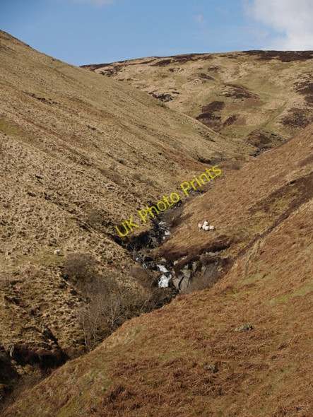 Photo 6"x4" Muckle Cauldron Burn from The Kaim Dobs Craig c2008