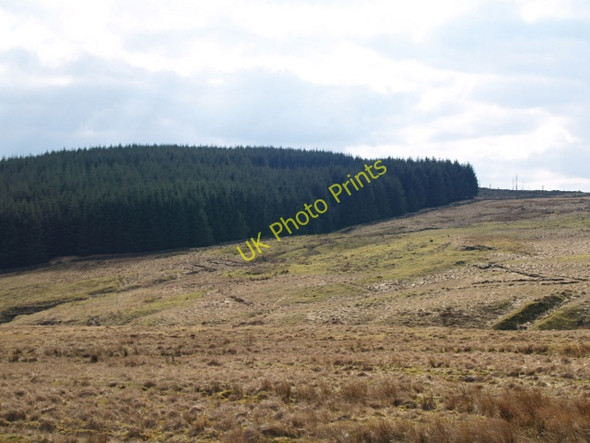 Photo 6"x4" Cassock Hill Nether Cassock c2008