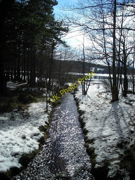 Photo 6"x4" Small Burn Flowing to Loch Morlich Reindeer Ho c2008