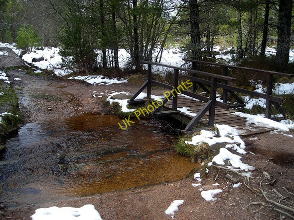 Photo 6"x4" Burn Crossing in Rothiemurchus Forest Lochan nan Geadas\/NH9508 c2008