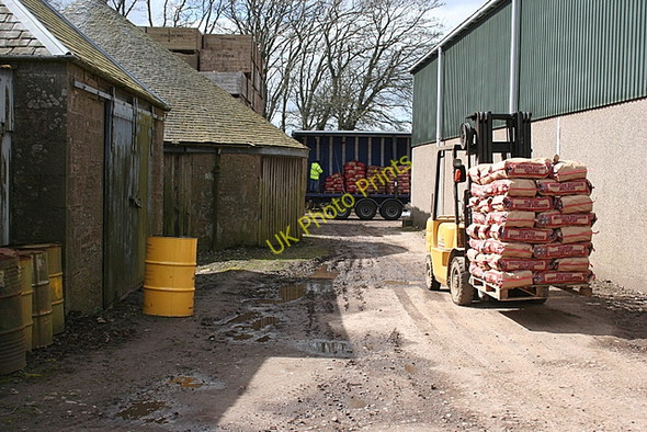 Photo 6"x4" The Last Palletload Bonnington Smiddy c2008