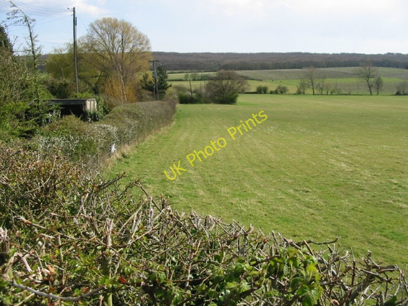 Photo 6"x4" Field edge to the S of Denstroude Lane Denstroude c2008