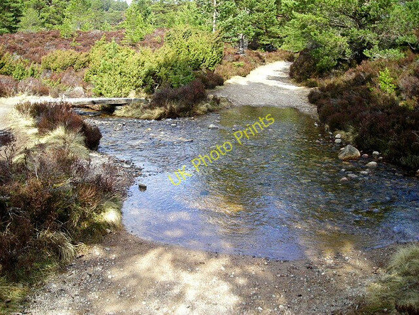 Photo 6"x4" Ford over Burn in Rothiemurchus Doune\/NH8809 c2008