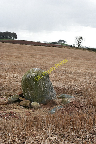 Photo 6"x4" Standing Stone at Vayne Farm Fern\/NO4861 c2008