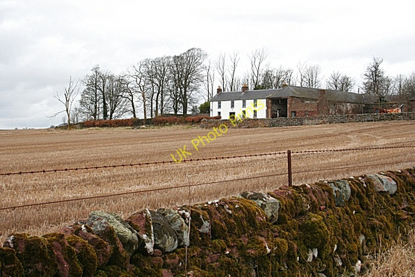 Photo 6"x4" Vayne Farm Fern\/NO4861 c2008