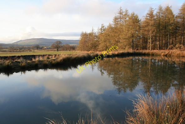 Photo 6"x4" Small Pond, Greenhow Forest Battersby c2008