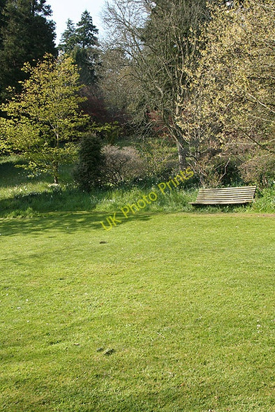 Photo 6"x4" Broadclyst: Killerton estate Beare\/SS9800 c2008