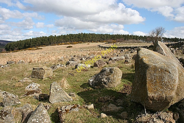 Photo 6"x4" Boulder Field Ruthven\/NJ5046 c2008
