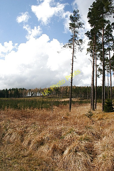 Photo 6"x4" Bin Hill from Bin Moss Cairnie\/NJ4844 c2008