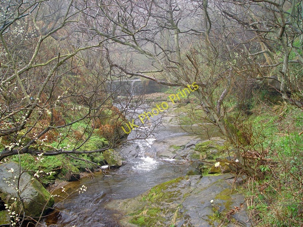 Photo 6"x4" Hayburn Beck, Hayburn Wyke, Nth. Yorks. Crowdon c2006