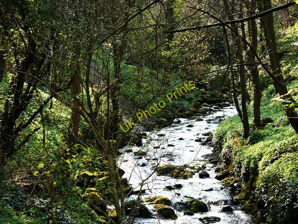 Photo 6"x4" Glen Maye Ballelby c2008