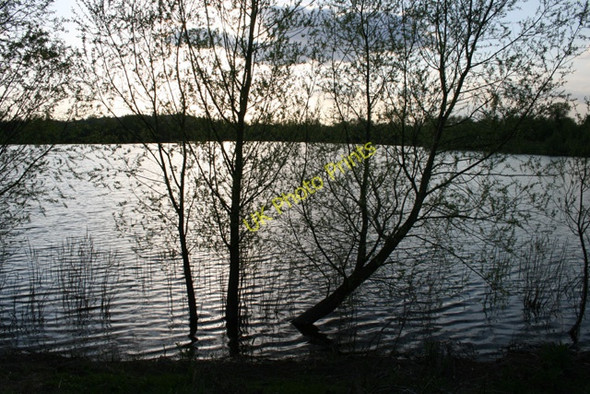 Photo 6"x4" Willow Edged Gravel Pit (4) Chertsey c2008