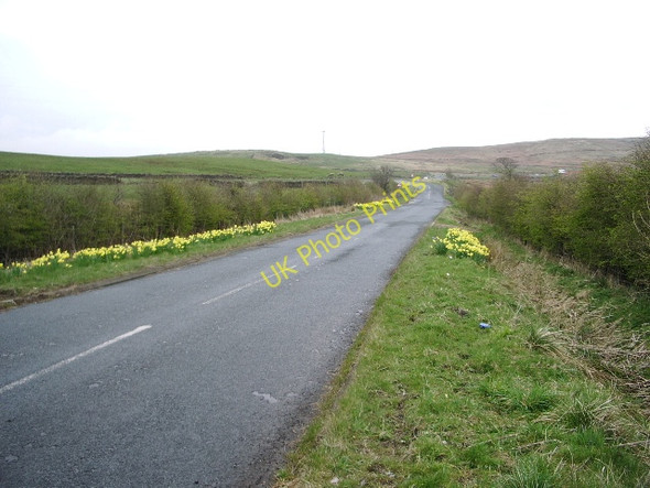 Photo 6"x4" Road from the B6232 to Belthorn Bank Fold c2008
