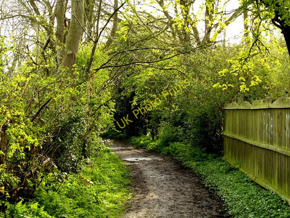 Photo 6"x4" Love Lane Bridleway, Hedon Hedon c2008