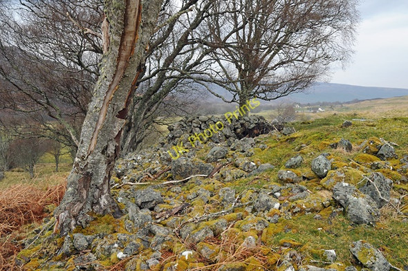 Photo 6"x4" Rocks on top of C\u00c3\u00a0rn M\u00c3\u00b2r Amatnatua c2008