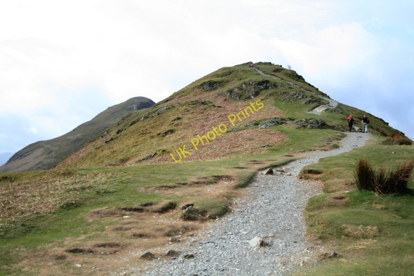 Photo 6"x4" Skelgill Bank Newlands\/NY2320 c2008