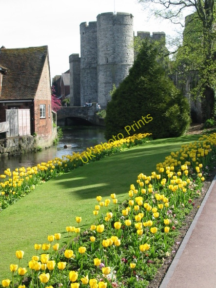 Photo 6"x4" The Westgate Towers from Westgate Gardens Canterbury\/TR1457 c2008