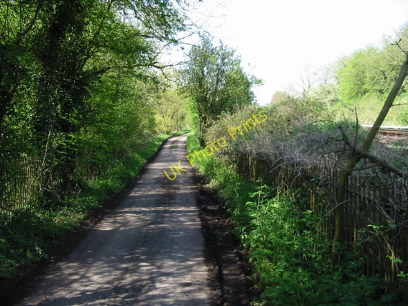 Photo 6"x4" Small lane leading to Whitehall Farm Canterbury\/TR1457 c2008