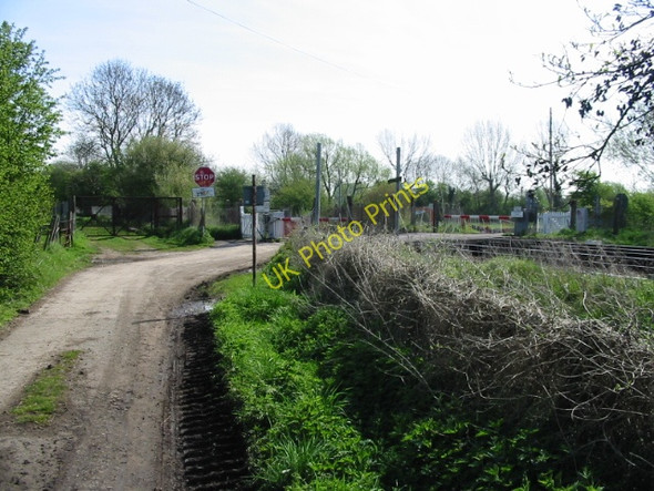 Photo 6"x4" Level crossing on small lane from Whitehall Farm Canterbury\/TR1457 c2008