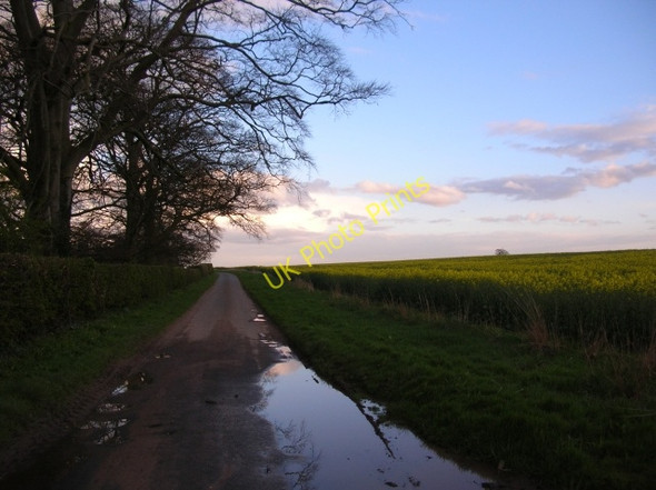 Photo 6"x4" Road past Aldby Park Buttercrambe c2008