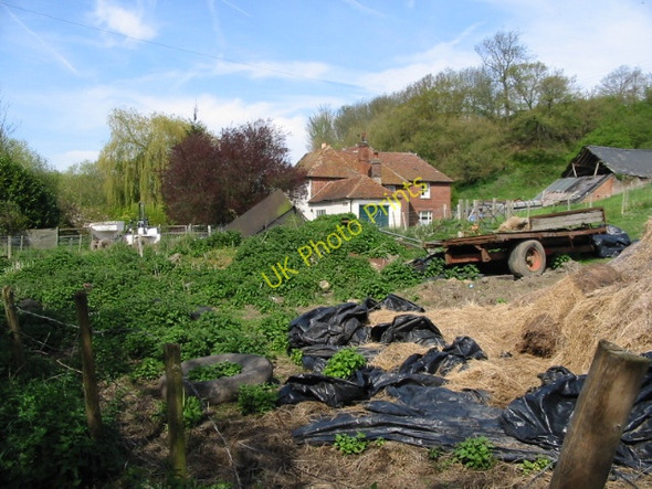 Photo 6"x4" Whitehall Farm and farmyard Canterbury\/TR1457 c2008